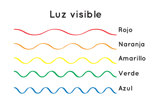 Los diferentes colores de luz tienen diferentes longitudes de onda.