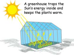 Cartoon of greenhouse. A greenhouse traps the Sun's energy inside and keeps the plants warm.