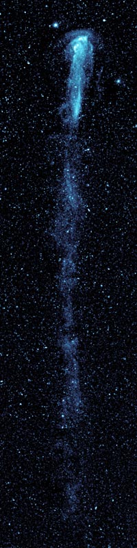 En esta imagen ultravioleta azulada de GALEX, Mira aparece como un punto brillante rodeado de gases incandescentes, que arrastra un larguísima cola.