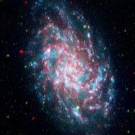 M33: Our neighbor the Triangulum Galaxy, or M33, sparkles in infrared light captured by Spitzer combined with ultraviolet light captured by Galaxy Evolution Explorer.